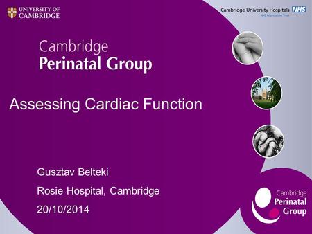 Assessing Cardiac Function Gusztav Belteki Rosie Hospital, Cambridge 20/10/2014.