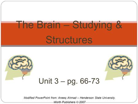 Modified PowerPoint from: Aneeq Ahmad -- Henderson State University. Worth Publishers © 2007 The Brain – Studying & Structures Unit 3 – pg. 66-73.