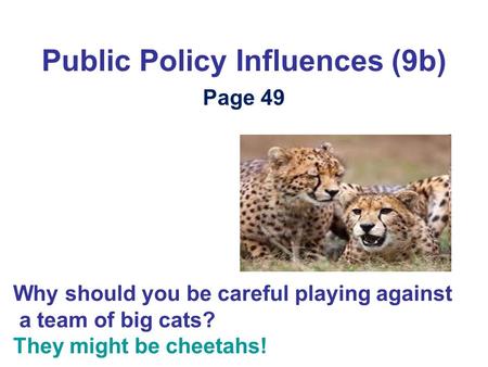 Public Policy Influences (9b) Page 49 Why should you be careful playing against a team of big cats? They might be cheetahs!