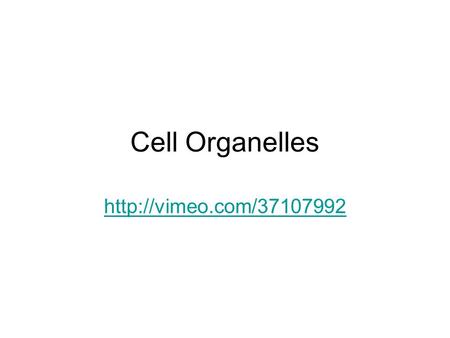 Cell Organelles http://vimeo.com/37107992.