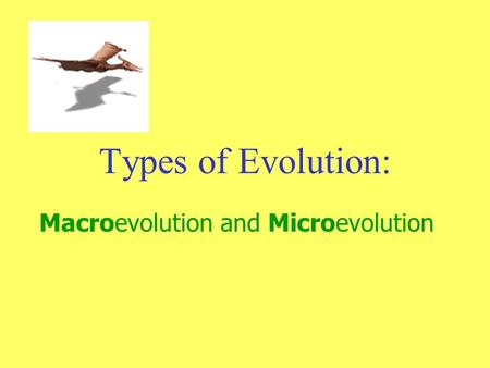 Types of Evolution: Macroevolution and Microevolution.