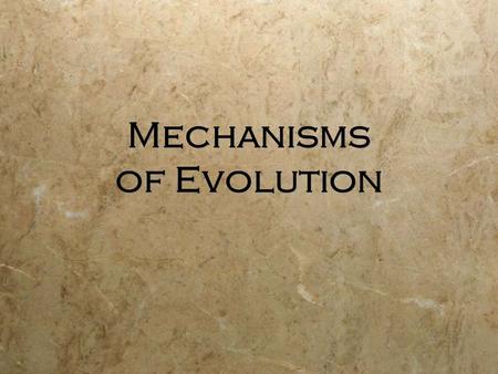 Mechanisms of Evolution. There are several: 1.Natural Selection 2.Gene Flow 3.Genetic drift 4.Mutations 5.Non-random mating There are several: 1.Natural.