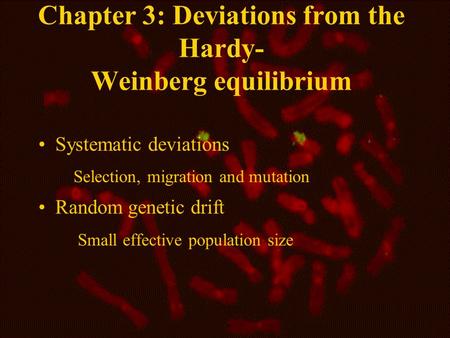 Chapter 3: Deviations from the Hardy- Weinberg equilibrium Systematic deviations Selection, migration and mutation Random genetic drift Small effective.