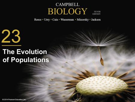 CAMPBELL BIOLOGY Reece Urry Cain Wasserman Minorsky Jackson © 2014 Pearson Education, Inc. TENTH EDITION 23 The Evolution of Populations.
