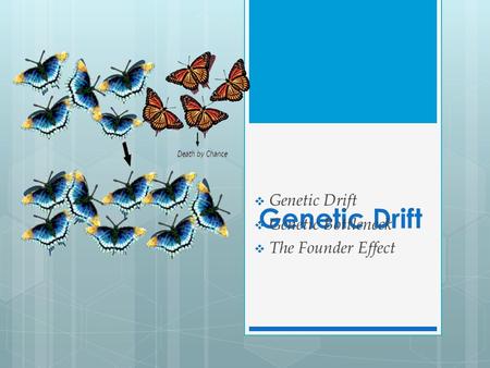 Genetic Drift  Genetic Drift  Genetic Bottleneck  The Founder Effect.
