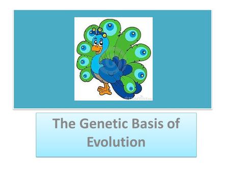 The Genetic Basis of Evolution. Themes Population gene pools evolve, not individuals Most populations have a large amount of genetic variation Genetic.