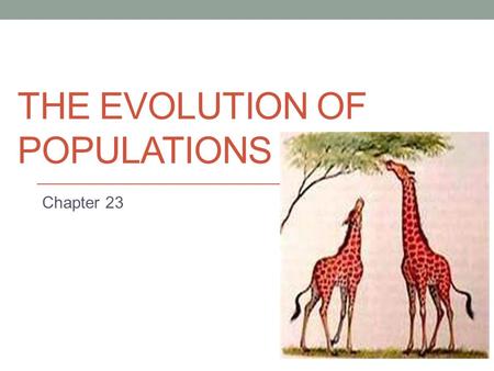 THE EVOLUTION OF POPULATIONS Chapter 23. The Smallest Unit of Evolution One misconception is that organisms evolve during their lifetimes Natural selection.