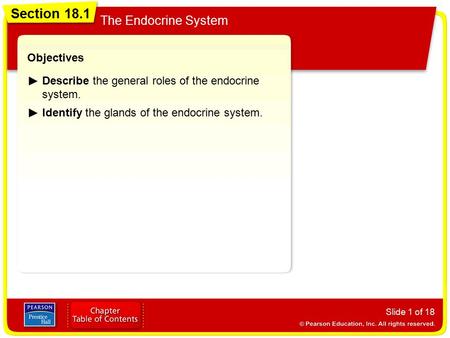 Section 18.1 The Endocrine System Slide 1 of 18 Objectives Describe the general roles of the endocrine system. Identify the glands of the endocrine system.