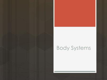 Body Systems. Objective  Explain the functioning of the major human organ systems and their interactions.