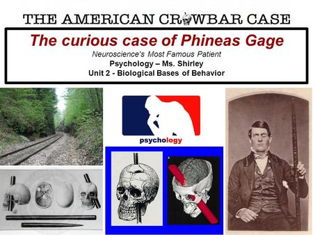 The curious case of Phineas Gage Neuroscience's Most Famous Patient Psychology – Ms. Shirley Unit 2 - Biological Bases of Behavior.