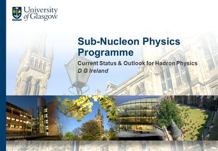 Sub-Nucleon Physics Programme Current Status & Outlook for Hadron Physics D G Ireland.