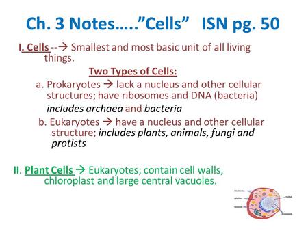 Ch. 3 Notes…..”Cells” ISN pg. 50 I. Cells --  Smallest and most basic unit of all living things. Two Types of Cells: a. Prokaryotes  lack a nucleus and.