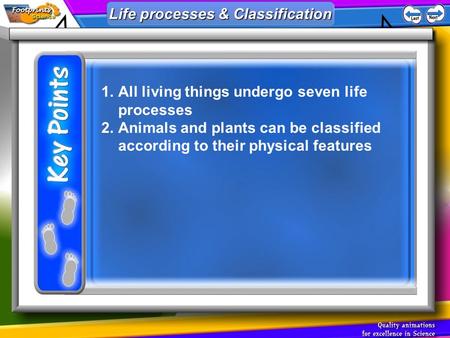 1.All living things undergo seven life processes 2.Animals and plants can be classified according to their physical features Life processes & Classification.