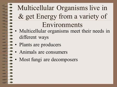 Multicellular Organisms live in & get Energy from a variety of Environments Multicellular organisms meet their needs in different ways Plants are producers.