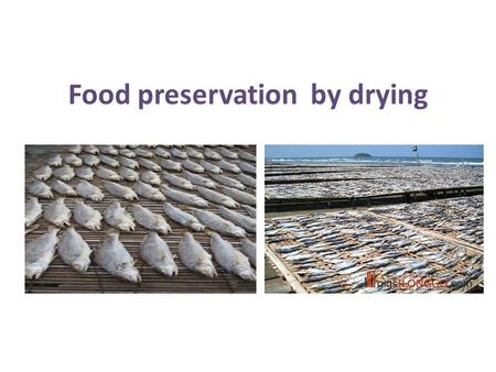 Food preservation by drying. Fish drying Small fishes - dried whole; large fish - dried by cutting open or cutting to small pieces to ensure faster drying.