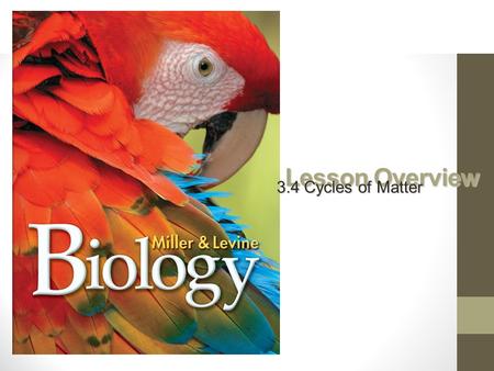 Lesson Overview 3.4 Cycles of Matter. Recycling in the Biosphere How does matter move through the biosphere?