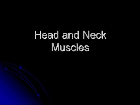 Head and Neck Muscles. Facial Muscles masseter risorius buccinator epicranial aponeurosis occipitalis frontalis.