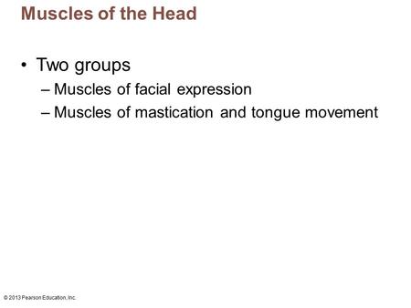 Muscles of the Head Two groups Muscles of facial expression