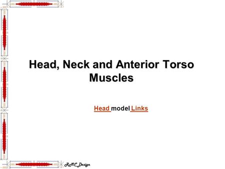 Head, Neck and Anterior Torso Muscles