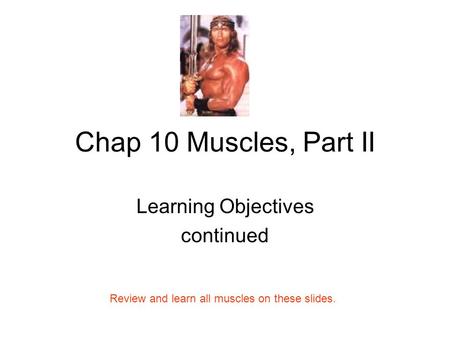Chap 10 Muscles, Part II Learning Objectives continued Review and learn all muscles on these slides.