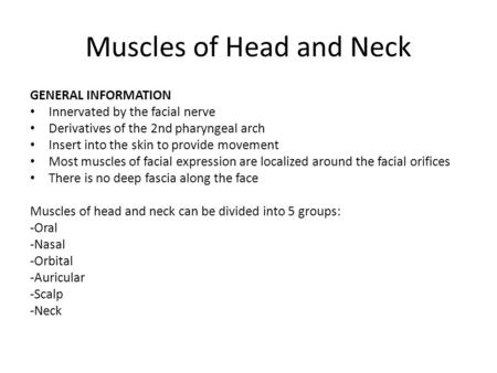 Muscles of Head and Neck GENERAL INFORMATION Innervated by the facial nerve Derivatives of the 2nd pharyngeal arch Insert into the skin to provide movement.