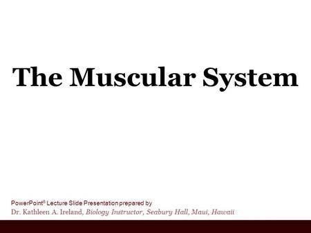 PowerPoint ® Lecture Slide Presentation prepared by Dr. Kathleen A. Ireland, Biology Instructor, Seabury Hall, Maui, Hawaii The Muscular System.