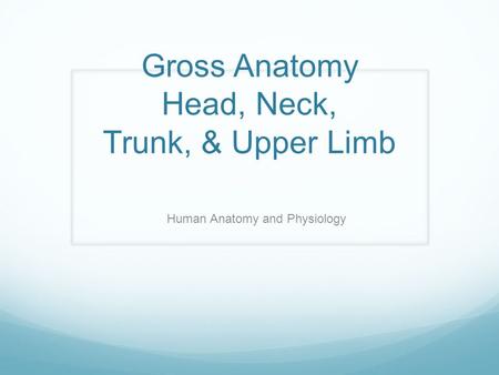 Gross Anatomy Head, Neck, Trunk, & Upper Limb