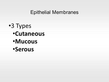 Epithelial Membranes 3 Types Cutaneous Mucous Serous.