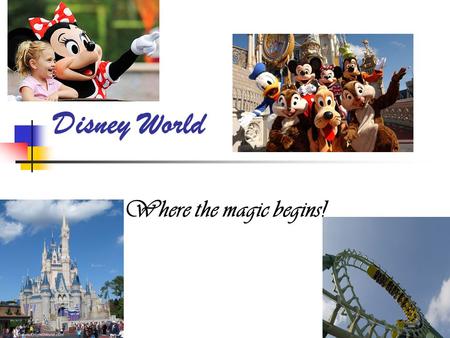 Disney World Where the magic begins!. Location Disney is in Orlando Florida!