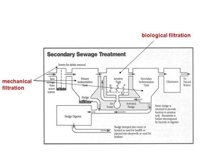Biological filtration mechanical filtration. Sludge/Biosolids Solids that settle out in the primary & secondary settling tanks. The digestion of sludge.