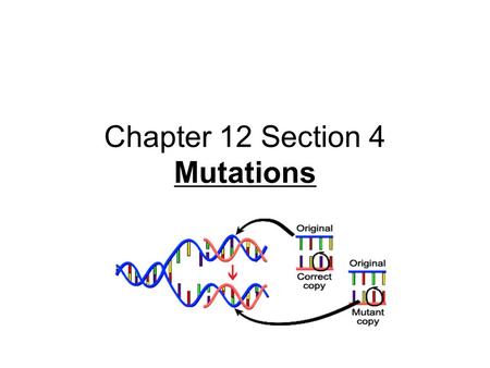 Chapter 12 Section 4 Mutations. Mutations DNA contains the code of instructions for cells. Sometimes, an error occurs when the code is copied. - Such.