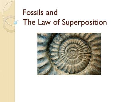 Fossils and The Law of Superposition. Fossils and Superposition What is a fossil? The trace or remains of an organism that lived long ago, most commonly.