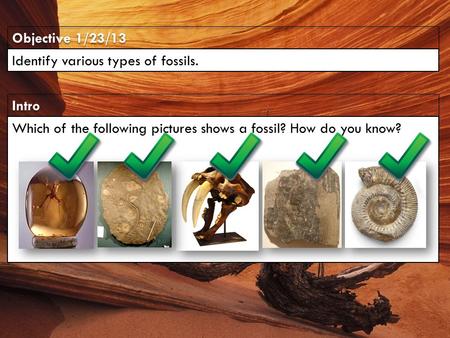 Objective 1/23/13 Identify various types of fossils. Intro