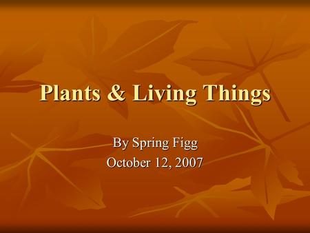 Plants & Living Things By Spring Figg October 12, 2007.