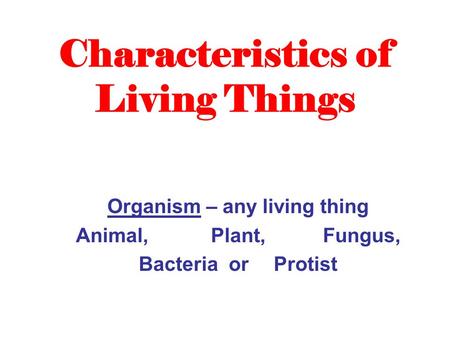 Characteristics of Living Things Organism – any living thing Animal, Plant, Fungus, Bacteria or Protist.