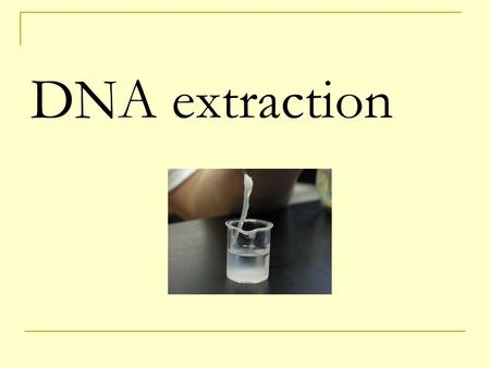 DNA extraction.