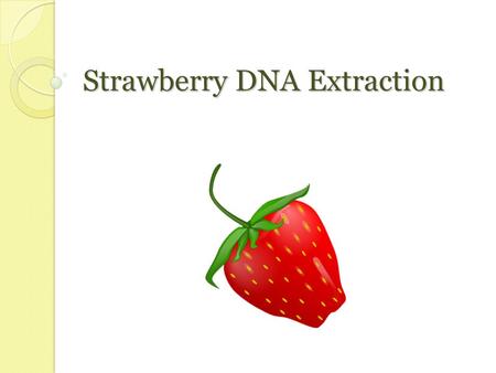 Strawberry DNA Extraction. DNA: Basics Deoxyribonucleic acid Genetic material ◦ Chain of molecules linked together ◦ DNA contains instructions for traits.