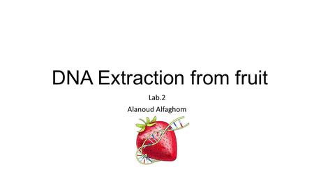 DNA Extraction from fruit Lab.2 Alanoud Alfaghom.