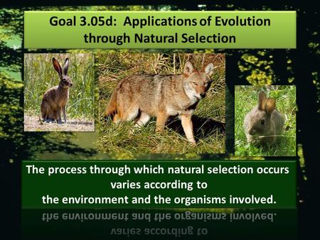 Goal 3.05d: Applications of Evolution through Natural Selection