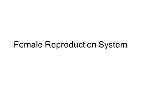 Female Reproduction System. Mare’s anatomy: 1.Simple uterus 2.Unusual placenta arrangement 3.Inefficient cervical closure 4.Small uterine body 5.Two long,