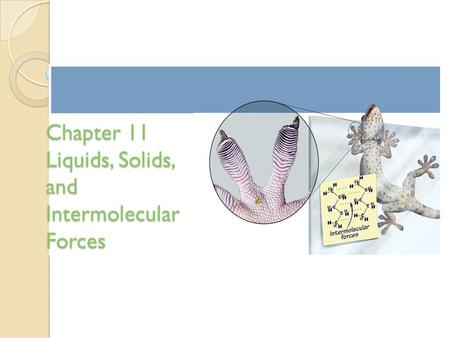 Chapter 11 Liquids, Solids, and Intermolecular Forces.