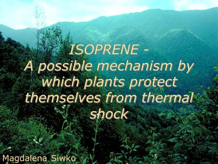 ISOPRENE - A possible mechanism by which plants protect themselves from thermal shock Magdalena Siwko.