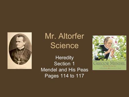 Mr. Altorfer Science Heredity Section 1 Mendel and His Peas Pages 114 to 117.