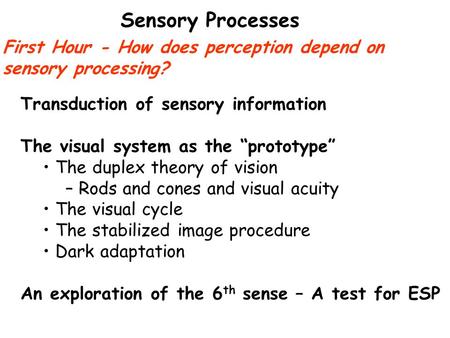 Sensory Processes First Hour - How does perception depend on