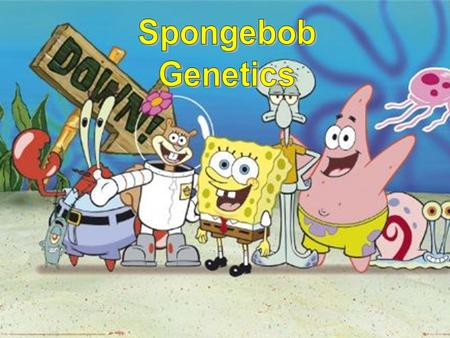 Spongebob Genetics.