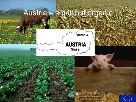 Austria – small but organic. ORGANIC FARMING - Facts Organic area: 300 000 ha Organic arable crops:60 000 ha Grassland and fodder crops:220 000 ha Organic.