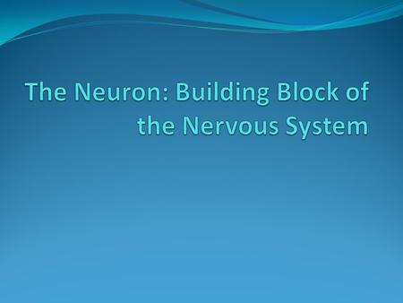 The Neuron The building block of the nervous system. Neuron – A cell specialized to receive, process, and transmit information to other cells. Bundles.