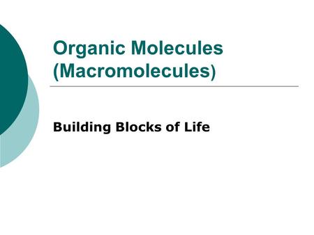 Organic Molecules (Macromolecules ) Building Blocks of Life.