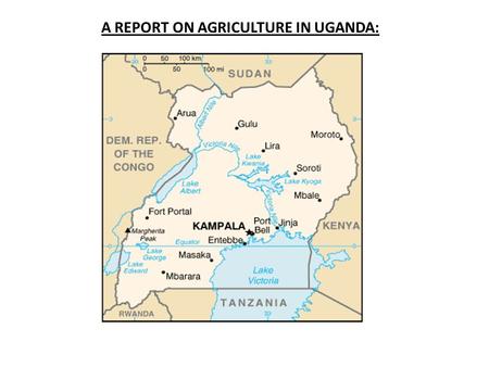 A REPORT ON AGRICULTURE IN UGANDA:. COUNTRY PROFILE: Uganda is located in the eastern region of Africa. It is bordered by Sudan in the north, Kenya in.