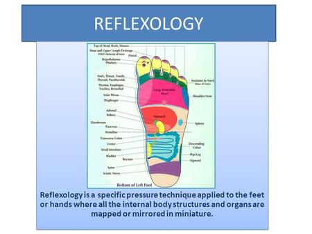 REFLEXOLOGY Reflexology is a specific pressure technique applied to the feet or hands where all the internal body structures and organs are mapped or mirrored.